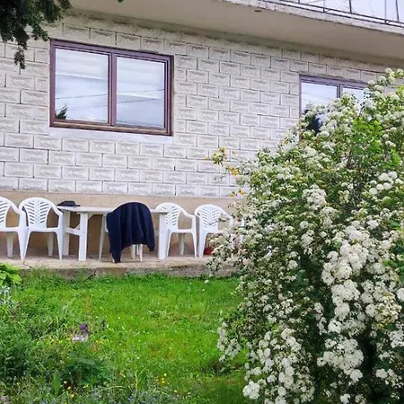 Comfort House Near Pyramides 비소코